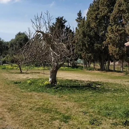 S'abuleu